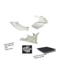 Carénage poly Sebimoto BMW S1000RR 12-14