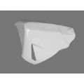Sabot Sebimoto Kawasaki ZX10R 04-05 5