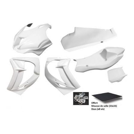 Carénage poly Sebimoto Kawasaki ZX10R 16-20