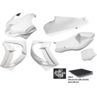 Carénage poly Sebimoto Kawasaki ZX10R 16-20