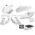 Carénage poly Sebimoto Kawasaki ZX10R 16-20 0