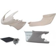 Carénage poly Sebimoto Triumph DAYTONA 675 09-12