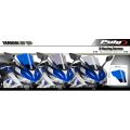 Bulle Puig racing pour Yamaha R3 15-17 6
