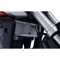 Grille de protection de radiateur R&G Honda CB125R 18-24