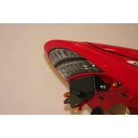 Support de plaque R&G pour Honda CBR954RR 02-03