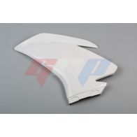 Flanc gauche GRP pour Aprilia RSV4 15-20