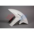 Garde boue avant GRP pour Honda CBR100RR 06-07 0