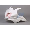 Carénage poly GRP pour BMW S1000RR 19-26 1