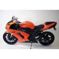 Tampons de protection R&G Kawasaki ZX6R 07-12 0