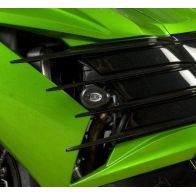 Tampons de protection R&G Kawasaki ZZR1400 12-19