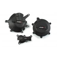 Protection moteur Puig pour KTM 790 Duke 18-24