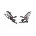 Commandes reculées Lightech R pour Aprilia RSV4Tuono V4 18-26 1