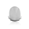 Bulle WRS Racing pour Ducati 959/1299 Panigale 0