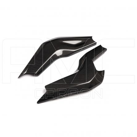 Protections de bras oscillant AMC Carbon pour Aprilia RSV1000 04-08