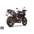 Silencieux Spark titane Fighter pour Triumph Tiger 900 20-23 5