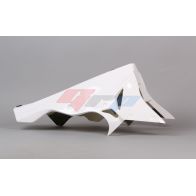 Sabot GRP pour BMW S1000RR 17-18