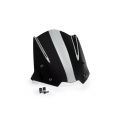 Bulle Puig New génération Sport pour Triumph Street Triple 675 R- S et RS 20-21 1