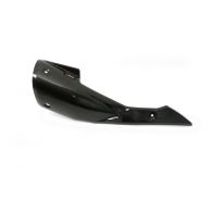 Pare chaleur carbone Akrapovic P-HSS10SO2
