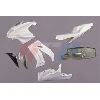 Carénage poly GRP pour Kawasaki ZX10R 16-20