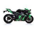 Silencieux Arrow Pro-Race pour Kawasaki ZX10R 16-19 1