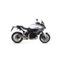 Silencieux Arrow Indy-Race pour BMW F900R / F900XR 20-24 1