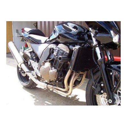 Sliders radiateur R&G pour Kawasaki Z750 03-06