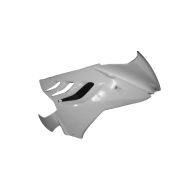 Flanc droit Blinder pour BMW S1000RR 09-14