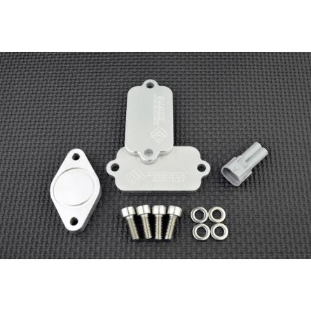 Kit de suppression d'antipollution Smart Moto PLE-203