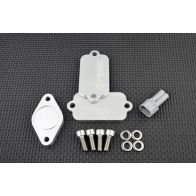 Kit de suppression d'antipollution Smart Moto PLE-203