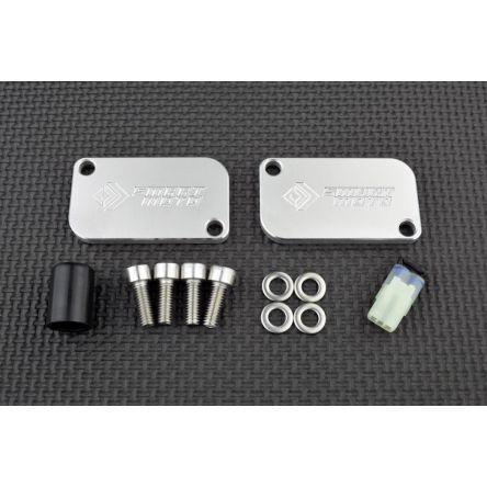 Kit de suppression d'antipollution Smart Moto PLE-101