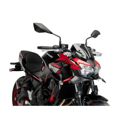 Ailerons Puig Downforce frontaux pour Kawasaki Z650 20-24