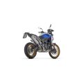 Silencieux Arrow Indy-Race embout inox pour BMW F900GS/F800GS 24-25 1