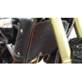 Grille de protection de radiateur R&G Triumph 675 Street Triple 07-12 0