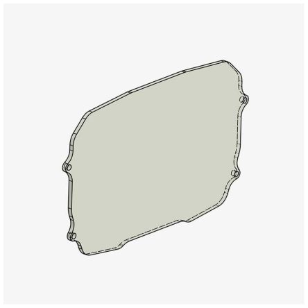 Ecran de protection de rechange Bonamici pour protection de compteur Ducati Panigale V4