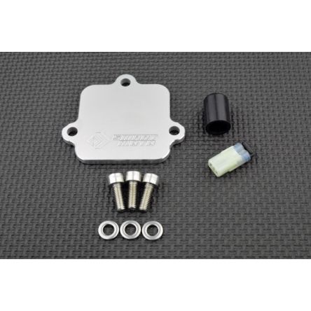 Kit de suppression d'antipollution Smart Moto PLE-127