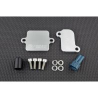Kit de suppression d'antipollution Smart Moto PLE-111