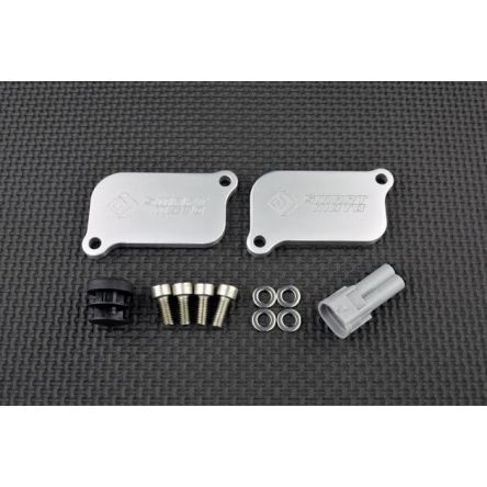 Kit de suppression d'antipollution Smart Moto PLE-114
