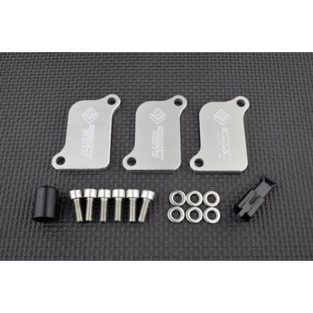 Kit de suppression d'antipollution Smart Moto PLE-121