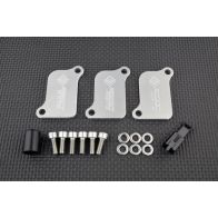 Kit de suppression d'antipollution Smart Moto PLE-121