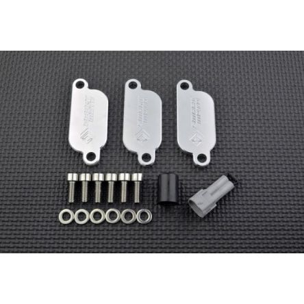 Kit de suppression d'antipollution Smart Moto PLE-135