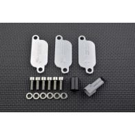 Kit de suppression d'antipollution Smart Moto PLE-135