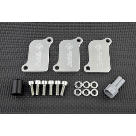 Kit de suppression d'antipollution Smart Moto PLE-221