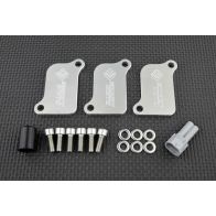 Kit de suppression d'antipollution Smart Moto PLE-221