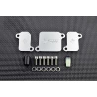 Kit de suppression d'antipollution Smart Moto PLE-311