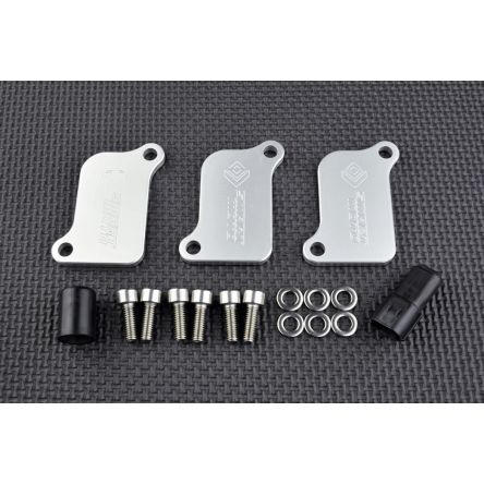 Kit de suppression d'antipollution Smart Moto PLE-321