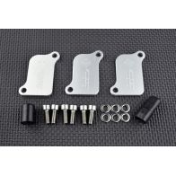 Kit de suppression d'antipollution Smart Moto PLE-321