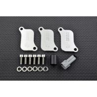 Kit de suppression d'antipollution Smart Moto PLE-322
