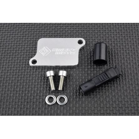 Kit de suppression d'antipollution Smart Moto PLE-125