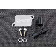 Kit de suppression d'antipollution Smart Moto PLE-125
