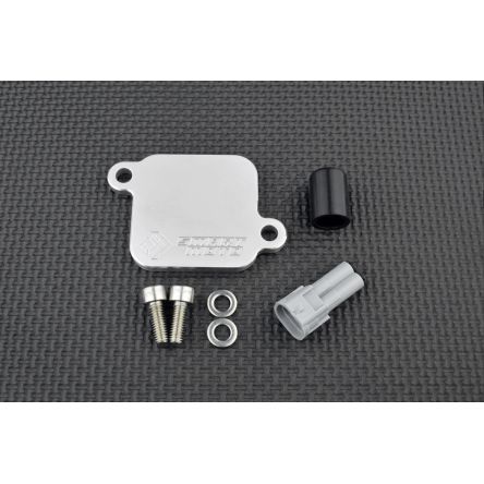 Kit de suppression d'antipollution Smart Moto PLE-131
